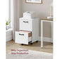 2-Drawer File Cabinet FredCo
