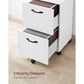 2-Drawer File Cabinet FredCo