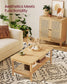 2-Tier Coffee Table with PVC Rattan Storage Shelf FredCo