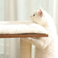 3 Beds Cat Tree FredCo