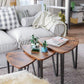 3 Pieces Vintage Table FredCo