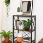 4 Open Shelves Bookcase FredCo