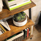 4 Tiers Wall Shelf Rustic Brown FredCo