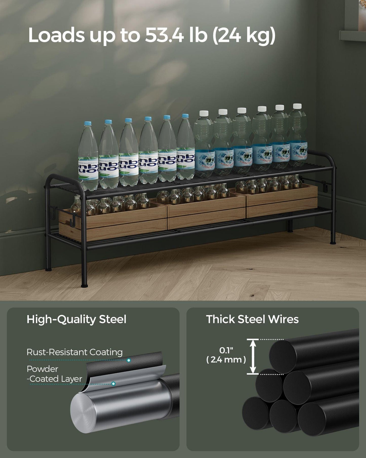 44.9" Wide 2-Tier Metal Shoe Rack with 4 Hooks Ink Black FredCo