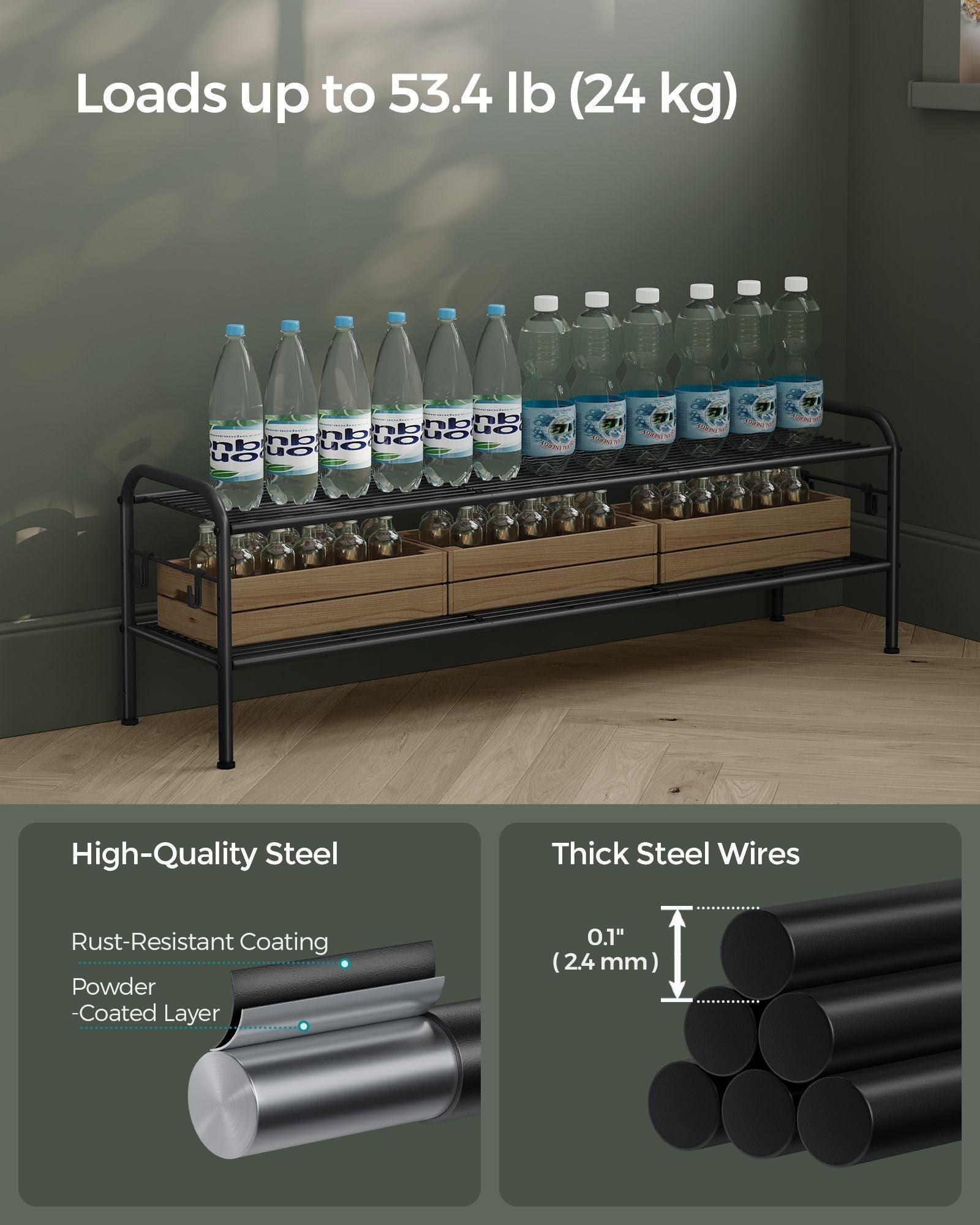 44.9" Wide 2-Tier Metal Shoe Rack with 4 Hooks Ink Black FredCo