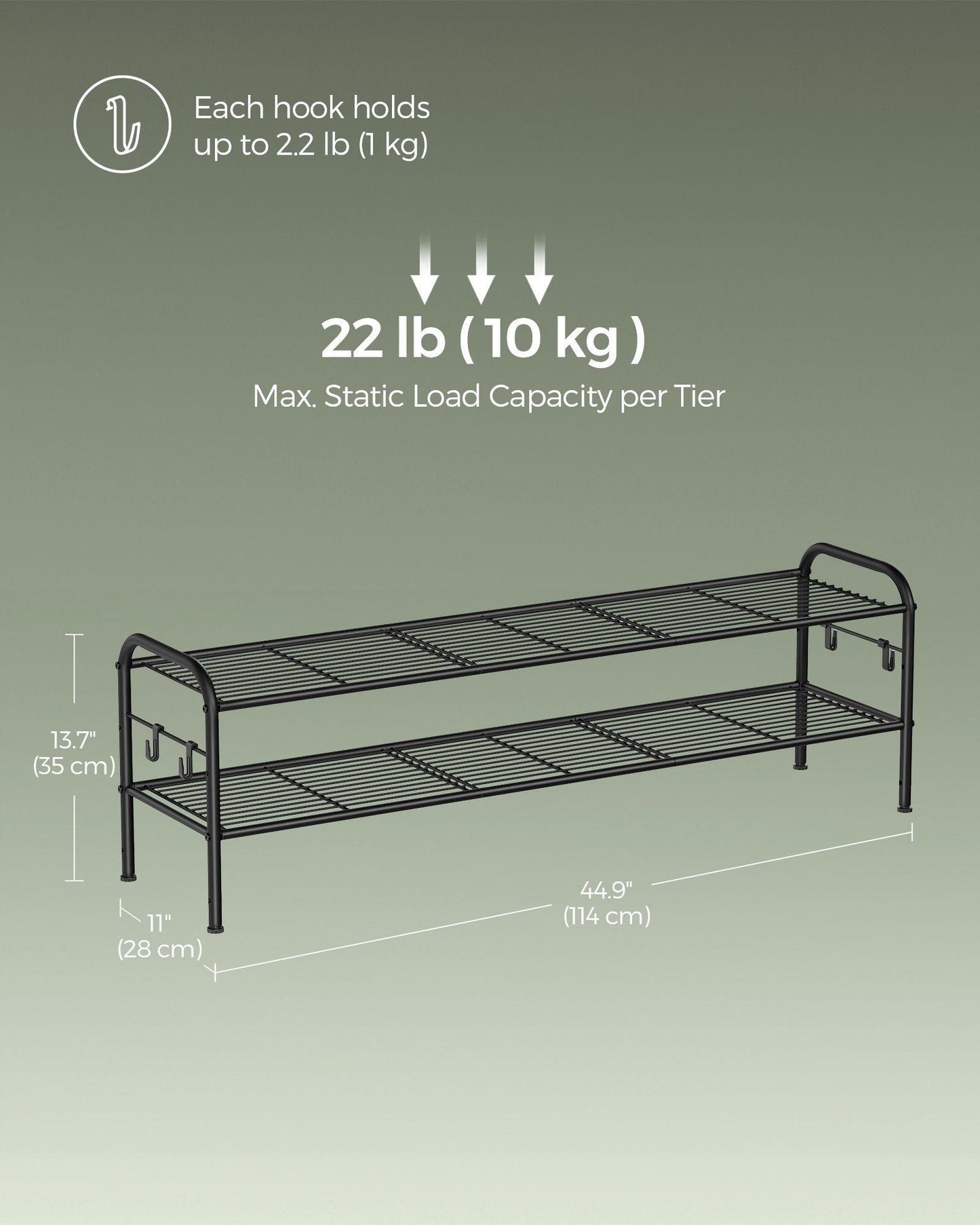 44.9" Wide 2-Tier Metal Shoe Rack with 4 Hooks Ink Black FredCo