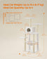54.3" Tall Multi-Level Cat Tree with Scratching Posts FredCo