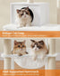 54.3" Tall Multi-Level Cat Tree with Scratching Posts FredCo