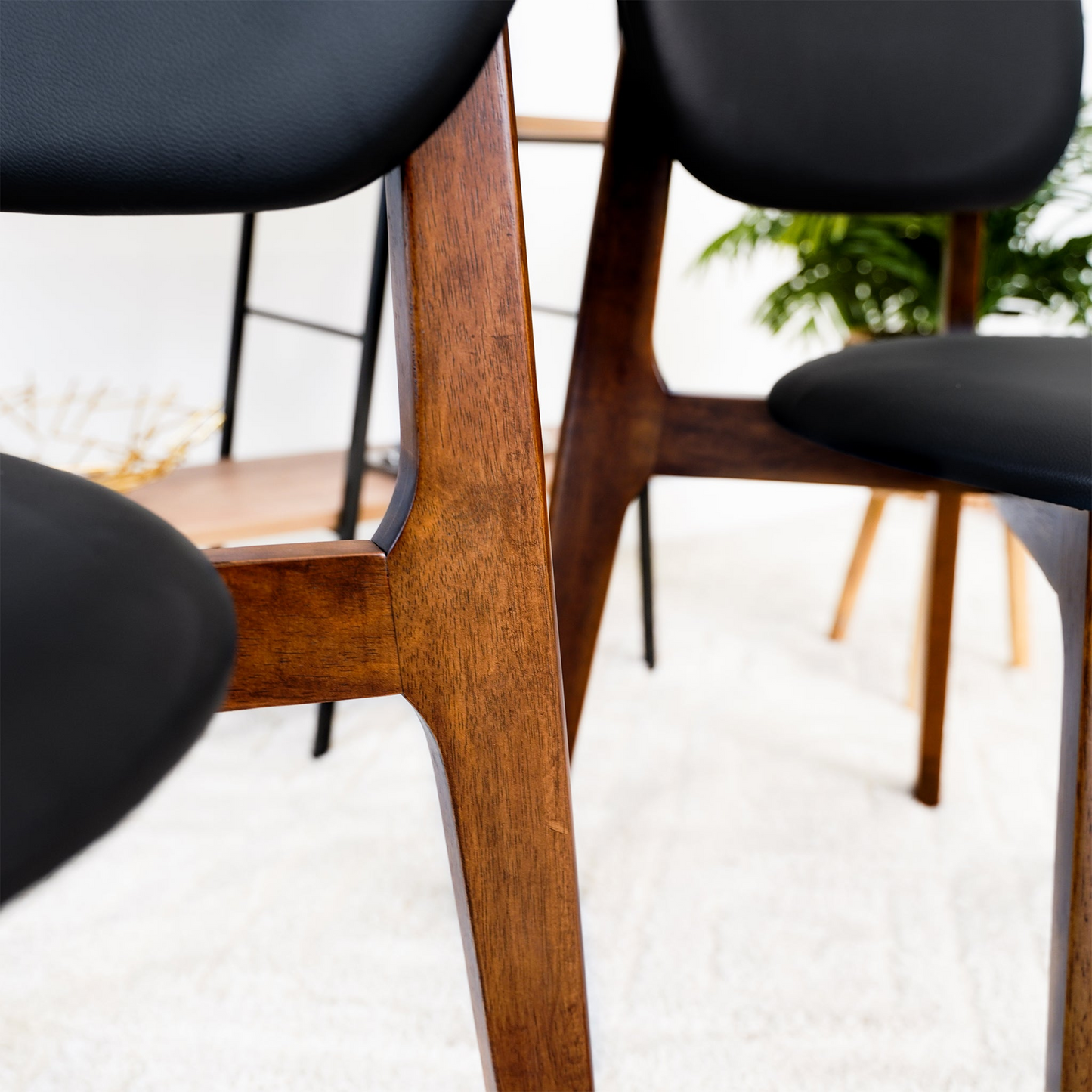 Close-up of modern wood frame chairs with black seats in a bright home setting, FredCo furniture