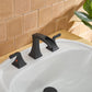8 in. Widespread 2-Handle Waterfall Bathroom Sink Faucet in Matte Black FredCo