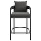 Tahoe Outdoor Patio Patio Aluminum Counter Stool by Modway EEI-7596