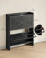VASAGLE Shoe Storage Cabinet Organizer with 2 Flip Drawers | UHSC203BJ01S