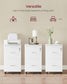 VASAGLE 2-Drawer Rolling File Cabinet – White