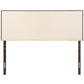 Region Nailhead Upholstered Full Headboard by Modway MOD-5217