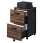 VASAGLE 2-Drawer File Cabinet, Small Rolling Filing Cabinet Printer Stand, for A4 – Natural Walnut, Ink Black
