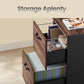 VASAGLE 2-Drawer File Cabinet, Small Rolling Filing Cabinet Printer Stand, for A4 – Natural Walnut, Ink Black
