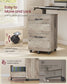 VASAGLE 2-Drawer File Cabinet, Small Rolling Filing Cabinet for Home Office, Heather Greige