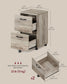 VASAGLE 2-Drawer File Cabinet, Small Rolling Filing Cabinet for Home Office, Heather Greige