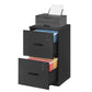 VASAGLE 2 Drawer File Cabinet with Locks, for A4 – Ink Black