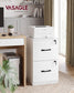 VASAGLE 2 Drawer File Cabinet with Locks, for A4 – Cloud White