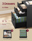 VASAGLE Mobile File Cabinet, 3 Drawers, Lockable, Ink Black