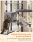 Feandrea Multi-Level Cat Tree for Large Cats – Dove Gray