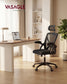 VASAGLE Ergonomic Mesh Office Chair with Adjustable Lumbar Support and Headrest, Ink Black