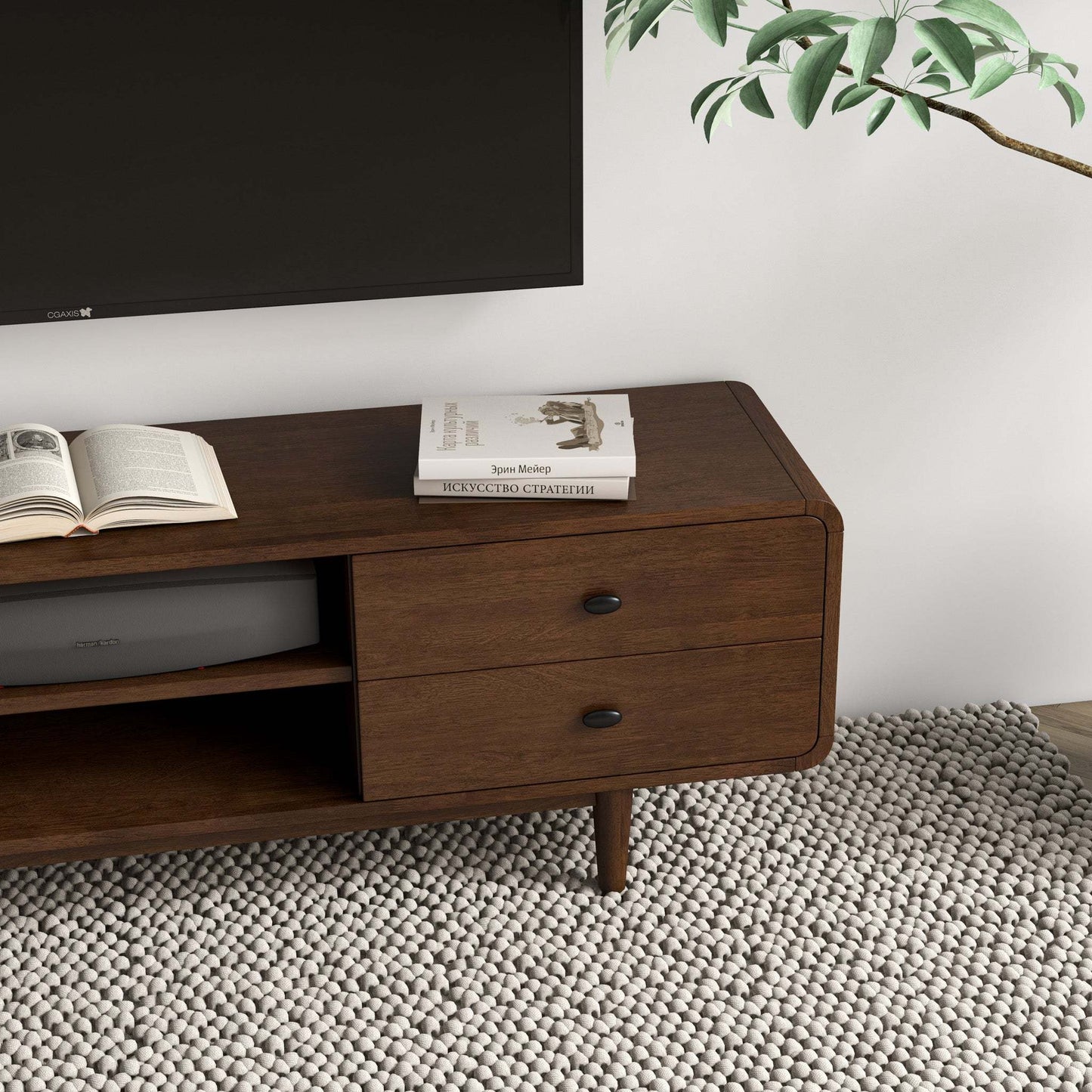 Mid-century modern wooden TV stand with books, under wall-mounted TV on textured rug