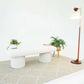 Modern white bench on patterned rug with potted plants and floor lamp, FredCo International furniture