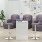 Adjustable Bar Stool FredCo