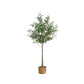 Artificial Olive Tree FredCo