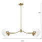 Modern gold chandelier with two clear glass globe shades, 36 inch wide, ceiling light