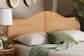 bali & pari Adelita Natural Rattan Arched Headboard - Handwoven Cane Panel with Rattan Frame, Coastal Boho Style Bedroom Decor, Queen FredCo