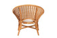 bali & pari Aerin Modern Bohemian Natural Rattan Accent Chair FredCo