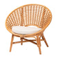 bali & pari Aerin Modern Bohemian Natural Rattan Accent Chair FredCo