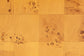 bali & pari Azmi Modern and Contemporary Natural Light Mappa Burl Wood 2-Drawer Nightstand FredCo