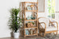 bali & pari Baara Natural Rattan 4-Tier Display Shelf - Handcrafted Bookcase with Openwork Side Panels, Boho Coastal Design for Living Room or Bedroom FredCo