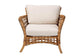 bali & pari Babette Modern Bohemian Natural Brown Rattan Arm Chair FredCo