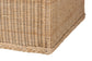bali & pari Caden Braided Natural Rattan Chest with Lift-top Lid - Coastal Boho Style Storage Bench for Bedroom, Entryway, or Living Room Organization FredCo