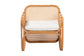 bali & pari Cambridge Natural Rattan Armchair - Handcrafted Lounge Chair with Cushion, Rounded Frame with Cane Woven Panels, Accent Seating for Living Room or Sunroom FredCo