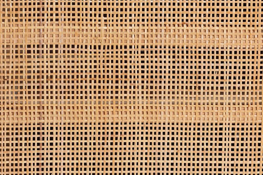 bali & pari Carabella Bohemian Natural Rattan 2-Door Storage Cabinet FredCo