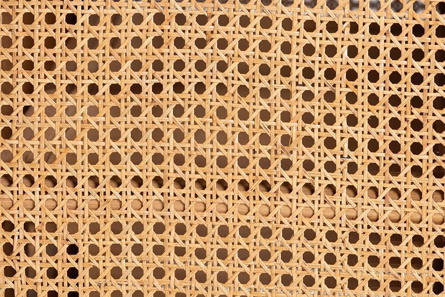 bali & pari Curacao Modern Bohemian Light Honey Rattan 2-Door Storage Cabinet FredCo