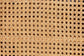 bali & pari Curacao Modern Bohemian Light Honey Rattan 2-Door Storage Cabinet FredCo