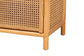 bali & pari Curacao Modern Bohemian Light Honey Rattan 2-Door Storage Cabinet FredCo