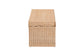 bali & pari Damita Scallop Natural Rattan Chest with Lift-top Lid - Coastal Boho Style Storage Bench for Bedroom, Entryway, or Living Room Organization FredCo
