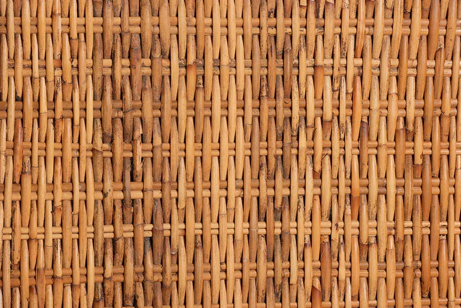bali & pari Derris Natural Rattan Dining Chair with Cushion - Tall Wingback Side Chair with Solid Mango Wood Legs, Boho Coastal Style for Kitchen or Dining Room Seating, Light Honey FredCo