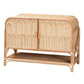 bali & pari Gitano Bohemian Natural Rattan 2-Door Storage Cabinet FredCo