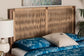 bali & pari Holitz Modern Bohemian Walnut Brown Finished Bayur Wood Queen Size Headboard FredCo