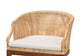 bali & pari Lumajang Bohemian Light Honey Rattan and Wood 2-Piece Counter Stool Set FredCo