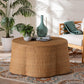bali & pari Palm Bohemian Honey Scallop Rattan Coffee Table FredCo